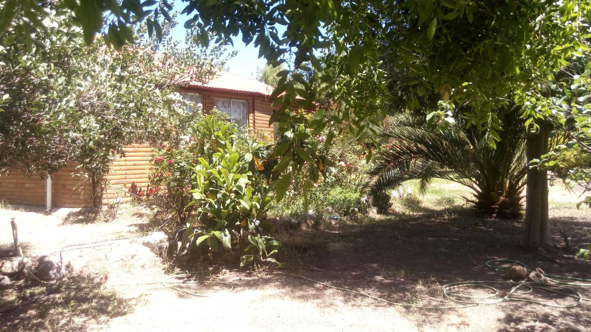 Cabanas Cipres Guayacan  Exterior photo